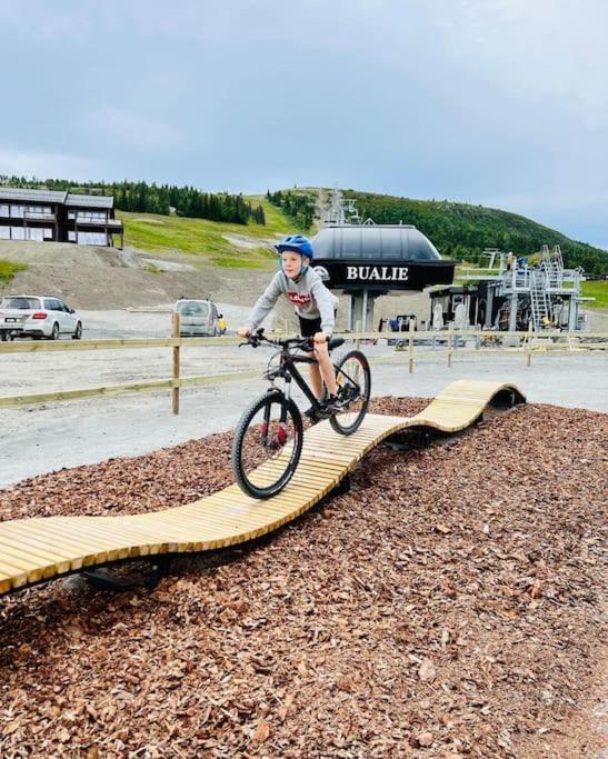Flott Fritidsleilighet I Bualie Pa Golsfjellet エクステリア 写真